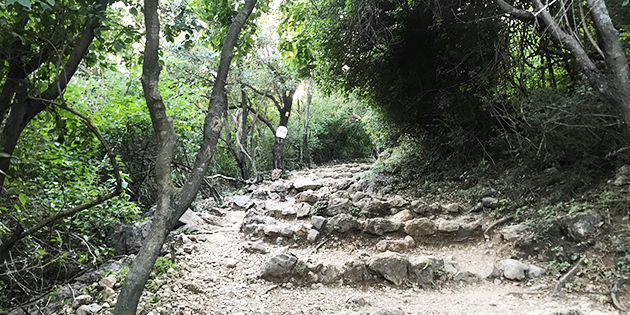 trails of Margalla Hills